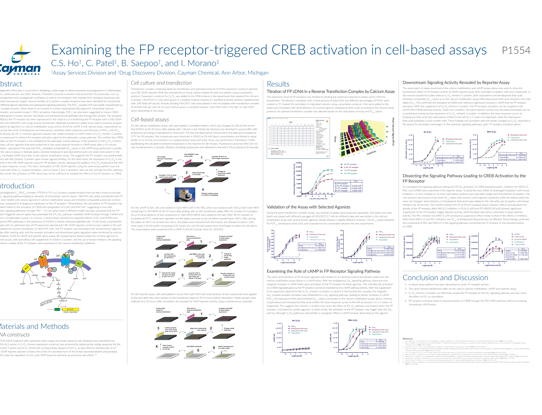 Examining the FP receptor-triggered CREB activation in cell-based assays<br>